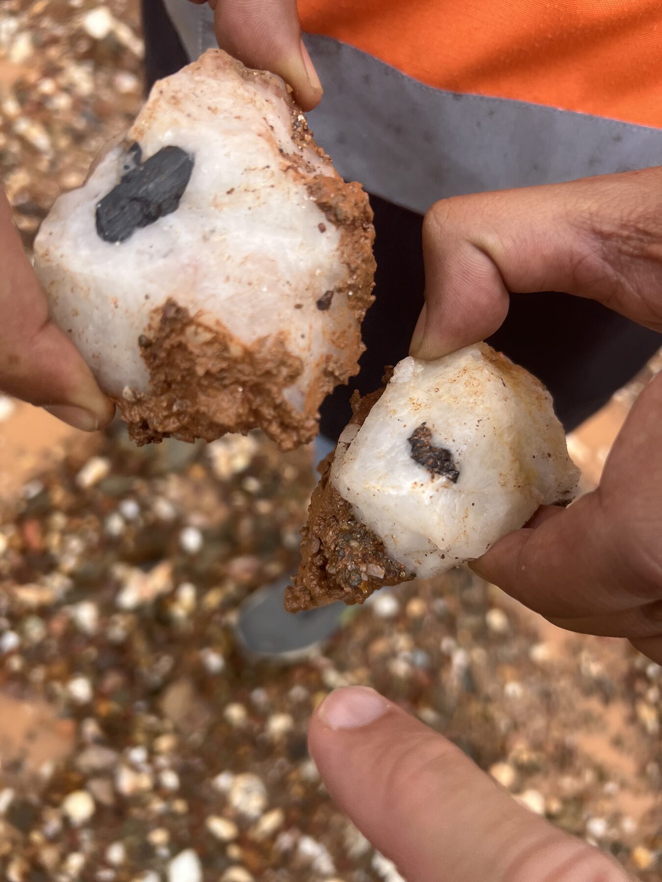 Cassiterite tin ore samples from the Bukit Kachi mining belt — black tin mineralisation hosted in quartz, reviewed during exploration site assessment.